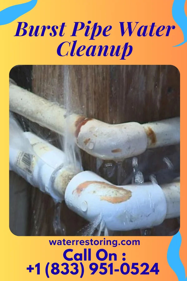 Burst Pipe Water Cleanup in Stanton, TX
