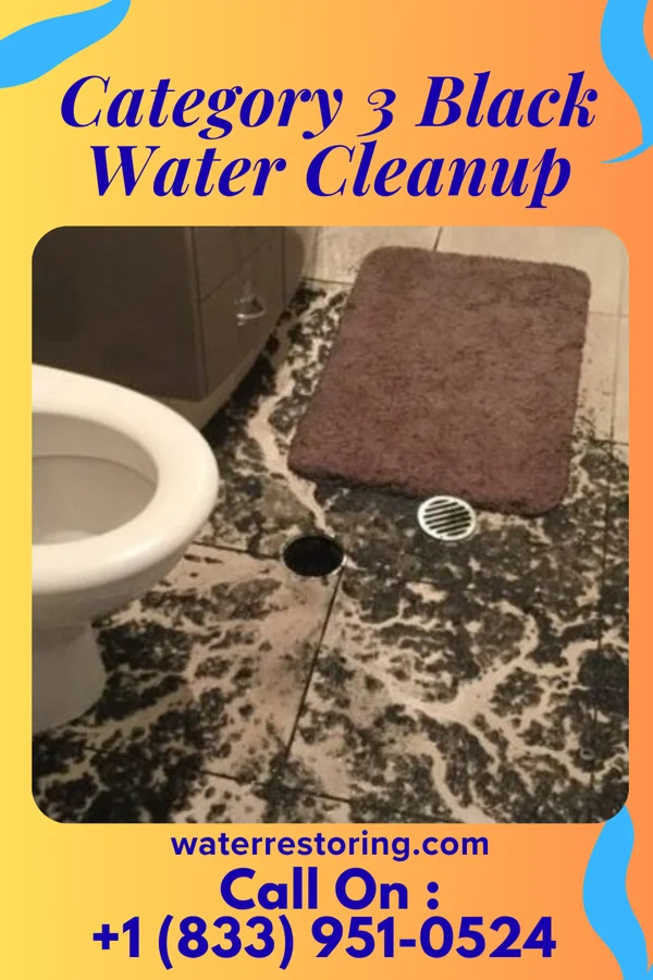 Category 3 Black Water Cleanup in Stanton, TX