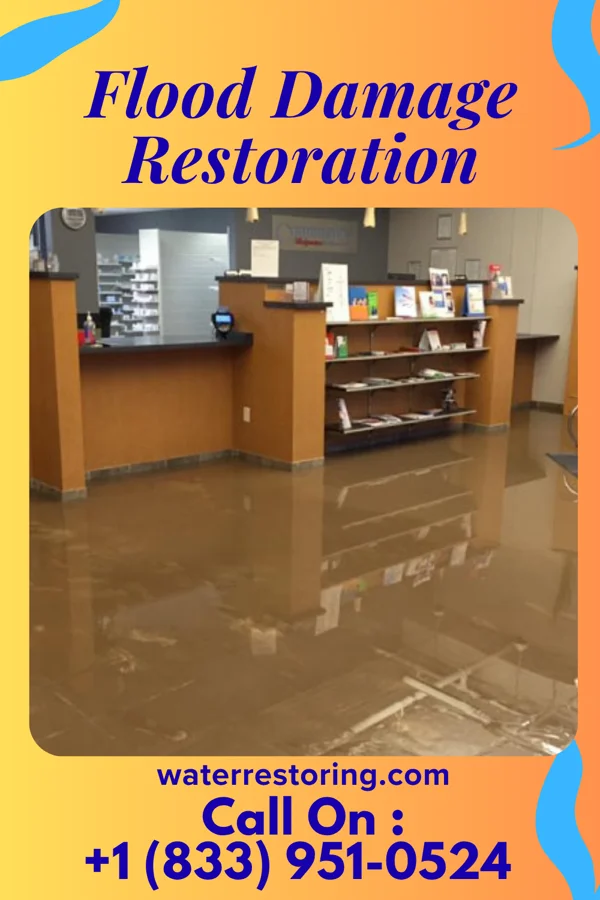 Flood Damage Restoration in Stanton, TX