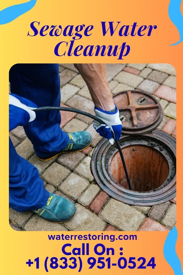 Sewage Water Cleanup in Stanton, TX